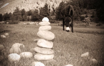 A member of the local transport purveyers inspects my rock stack. Chitkul, Himalayas.